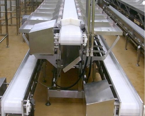 Giới thiệu hệ thống băng tải chế biến thịt gia súc gia cầm