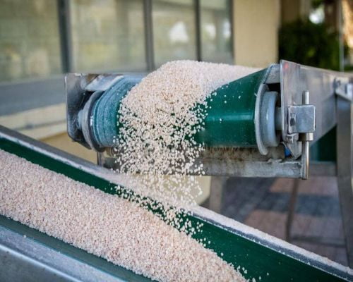 Hệ thống băng tải lúa gạo và những ưu điểm nổi bật