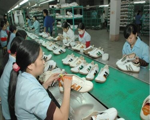 Tìm hiểu hệ thống băng tải băng chuyền sản xuất giày